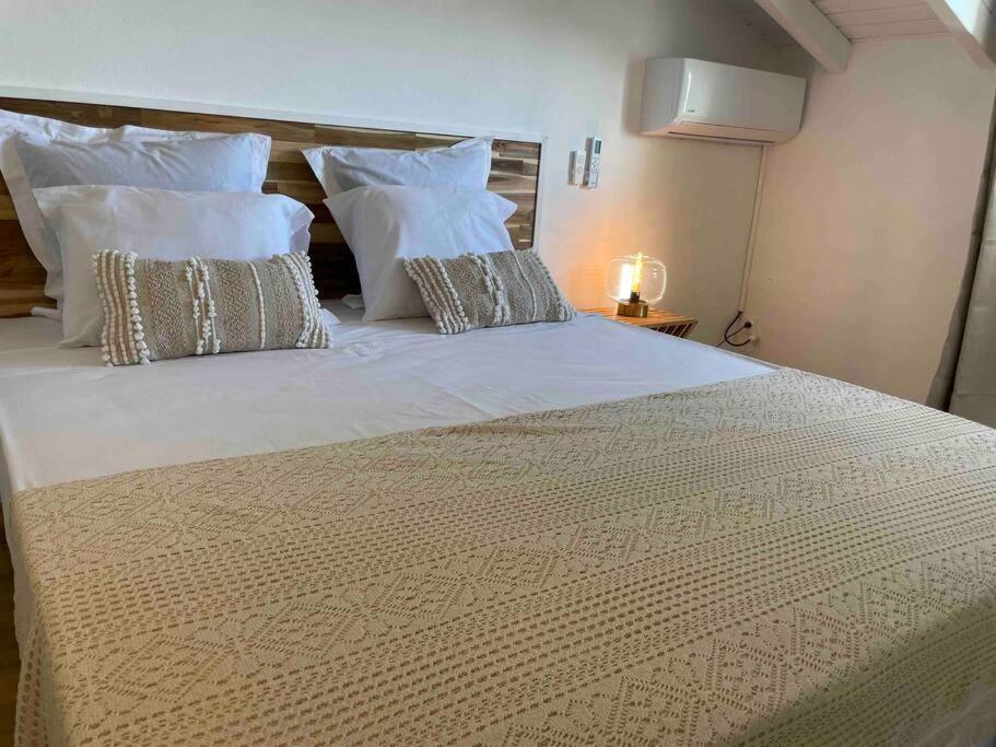 Villa Les Oiseaux D'Amour 상트 안느 외부 사진