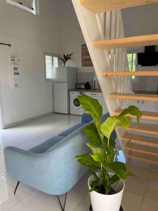Villa Les Oiseaux D'Amour 상트 안느 외부 사진